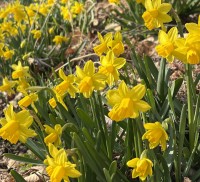 �����ƻ� ������ ���֡� ���� ������ ���� ��Ȱ¦��