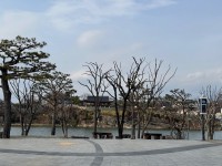 ���ֽ�, ���浿 ���������� `���ּ��� �Ѵ���` �������ҷ� ������