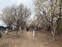 ���� �ù��� ��, ��° �� ��� ���� 