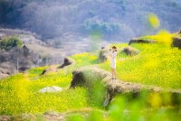 ���� ��ȭ ���۵� ���� "ȭ��(���)�� ����� ����������"