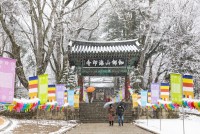 "�泲���� ���� �߱�" 2�� �湮�� ���� ��� 27.2% ����