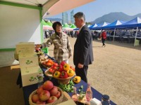 â��Ư�ʽ� `â���׸�` ������濵�δ�ȸ������ �α⸸��!