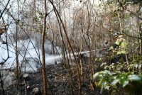 â���ҹ溻��, ��ö ��� ���� ���