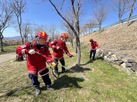 ���ؽ�, �긲�糭������ �������� ����