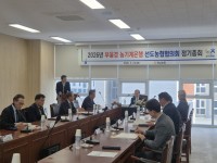 �泲����, ��ο� �������� ������������ȸ ������ȸ ����