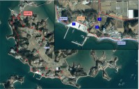 ��õ�� ��11ȸ ���伶���ֺ��� ���� ���� �������Ϲ� ���� �