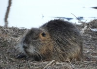 ������û, ��Ʈ���� ���� ��ġ ������