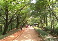 ���ؽ� �м��� ���½� Ȳ��� ����