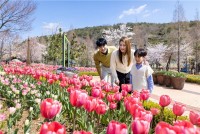 ������ ������ �ȴ�