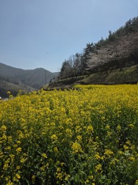 ���� �θ� �Ķ�ٶ����� ��