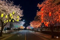 ��ö �߰���� `���ֽ�ũ�ε�` ����