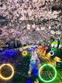 ���ر����� ���� ���� ����� ���� ���