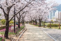 "1�� ���� ���� ��ſ� ���ط� ������"