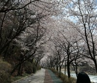 ��â�� `�ϻ� �� ���Űǰ�, �ɾ ����������` ü��