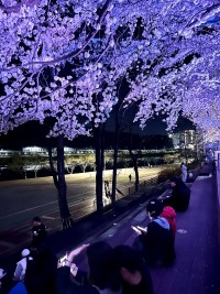 ���ֽ�, ü���� �۷ι� ������ǰ���� �ιٿ�� �������� ��ô 