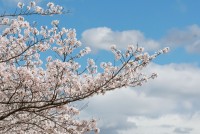 "��û �žȸ� �������� ���ɱ濡�� ���� �����ϼ���"��