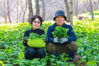 �� ��� ������ ��û �긶�� ��Ȯ ��â