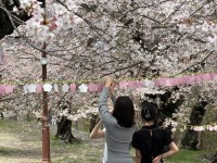 ���ɳ����� �ɸ� �ҿ���