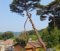 ��û��, ���ؿ��� ��ä��� ���� ����