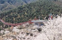 ��û ���Ǻ����� ���� ����, �� ���� ����