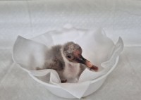 â�籺 ���������� ���� ù ��ȭ ����