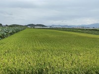 â��Ư�ʽ� "�ҵ溸�� ���� �󰡺δ� ���̰� �� ���� ����ȭ"