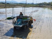 â�籺 ������ ���Ÿ�, ���� ù �� �𳻱� ����