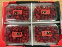 ���� ����� ���� ���� ���� ���� `��â`