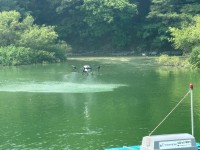 �ѱ�����̰��� �泲��������, ����� ������ ���� ���� ���� ������