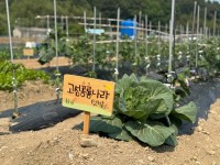 ���ù��� ��, ������ �ϻ��� �Ǵ�<BR>�������� �����ϴ� ���� ������ �̷�