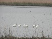 ���� ����ȣ ����, �������� ���� ����� ã�ƿ�