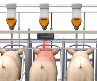 �泲��, �絷 AI ���İ��� Ȯ���19�� ���ԡ����꼺������� ���� ����