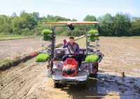 �Ծ籺 ����� ù �𳻱⡦���� ����ö ���� 