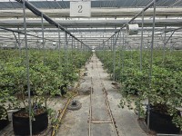 ������ ����� ��Ȥ, ��ǰ ���纣�� ���� ��Ȯ