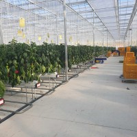 �о��, ����Ʈ ������������ ������ ���� ����