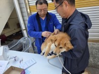 �Ծȱ� ��ö ���ߺ� ���� ��������