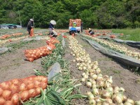 â��Ư�ʽ�, ��ǰ�� ������ �޾��ġ� ù ����