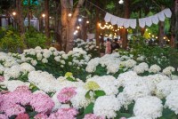 `���� �����ڶ�ȸ` ������ �� ������ȭ ��� �